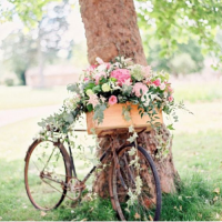 Велосипед, живые цветы